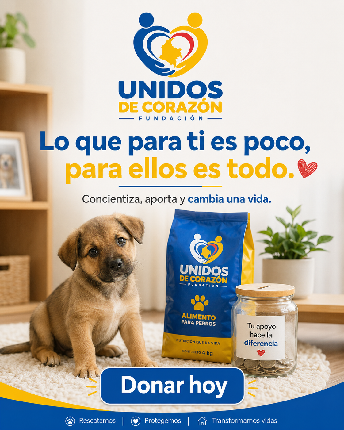 Donaciones convertidas en ayuda